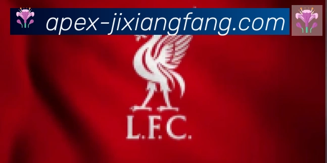 jxf吉祥坊合作伙伴